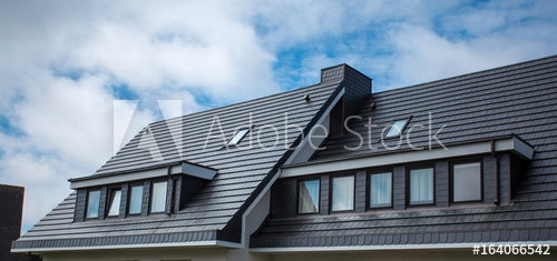 Professional roofing services